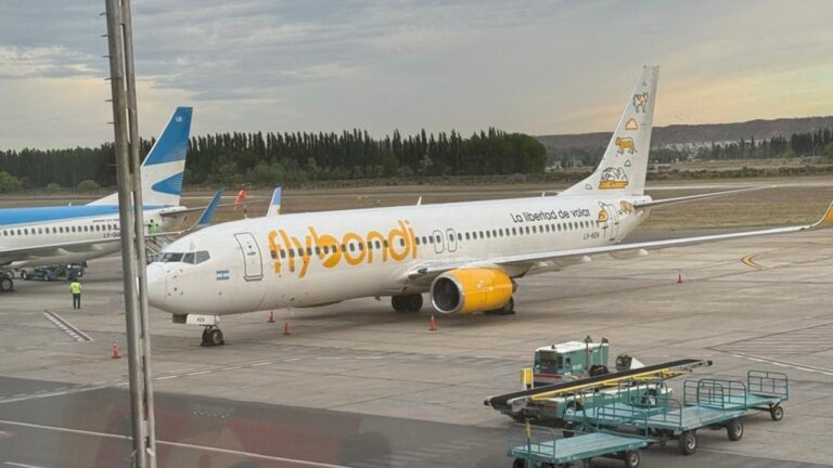 Pantalla de error en el sitio web de Flybondi