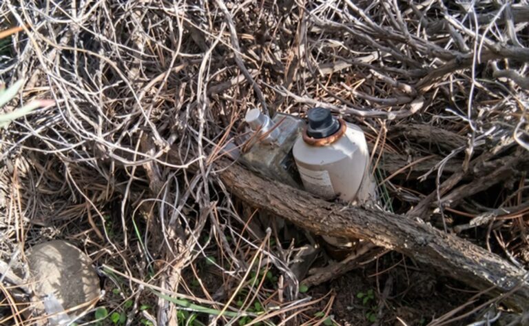 Brigadistas trabajando en tareas de poda y raleo en la Reserva Natural Urbana Laguna La Zeta, en Esquel, Chubut