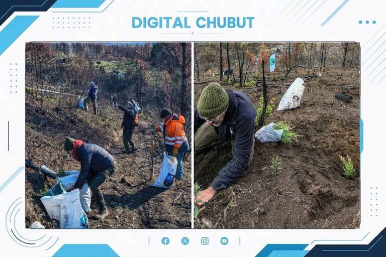 Plantación de árboles nativos en la Reserva Forestal de Uso Múltiple Lago Epuyén, Chubut