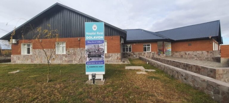 Profesionales de enfermería del sistema público de salud de Chubut