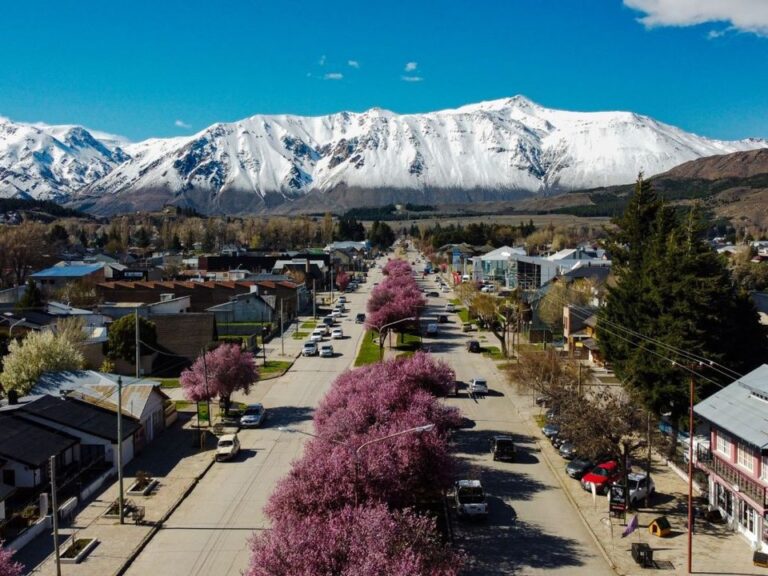 Vehículos oficiales en desuso de la Municipalidad de Esquel listos para remate