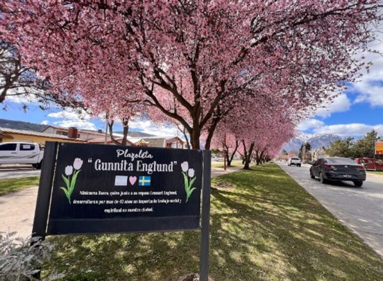 Ciruelos en flor en la avenida Ameghino de Esquel