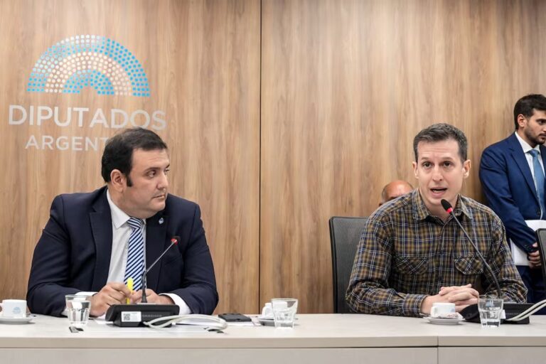 Cámara de Diputados de la Nación Argentina