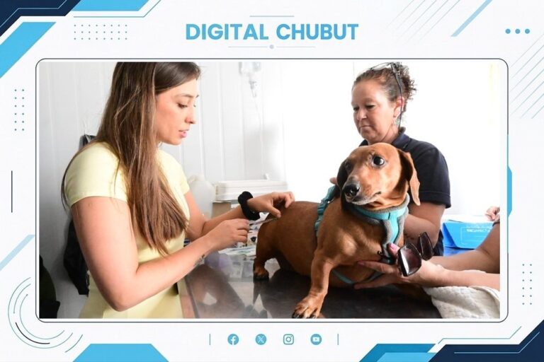 Perro y gato en campaña de vacunación en Puerto Madryn
