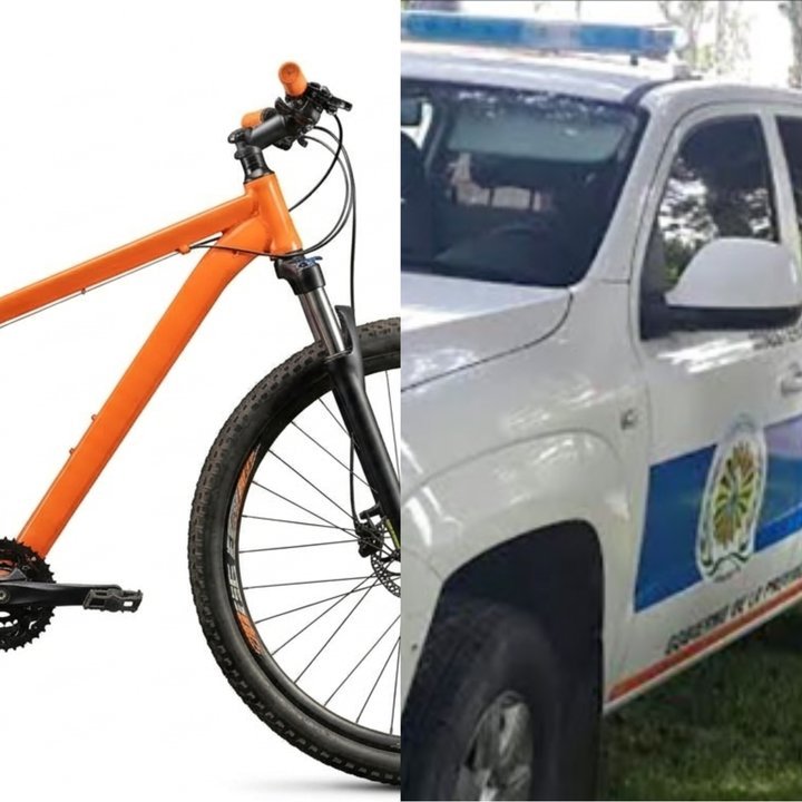Bicicleta rodado 29 de color naranja sustraída en Rawson