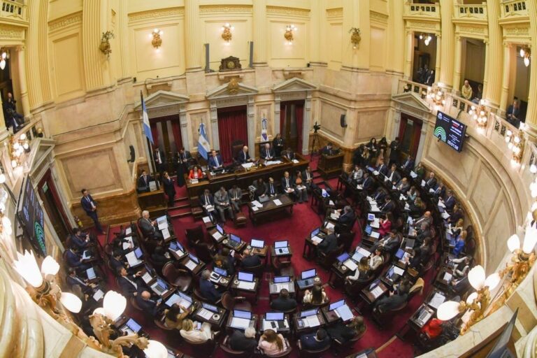 Sesión en el Senado de la Nación durante el debate de la reforma de la ley de biocombustibles