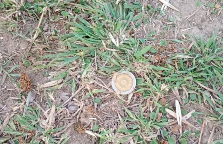 Vecinos asisten a un niño de 2 años que se atragantó con una moneda en Carcarañá