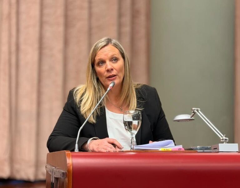 Sesión en la Legislatura del Chubut donde se debate la obligatoriedad de la sala de 3 años