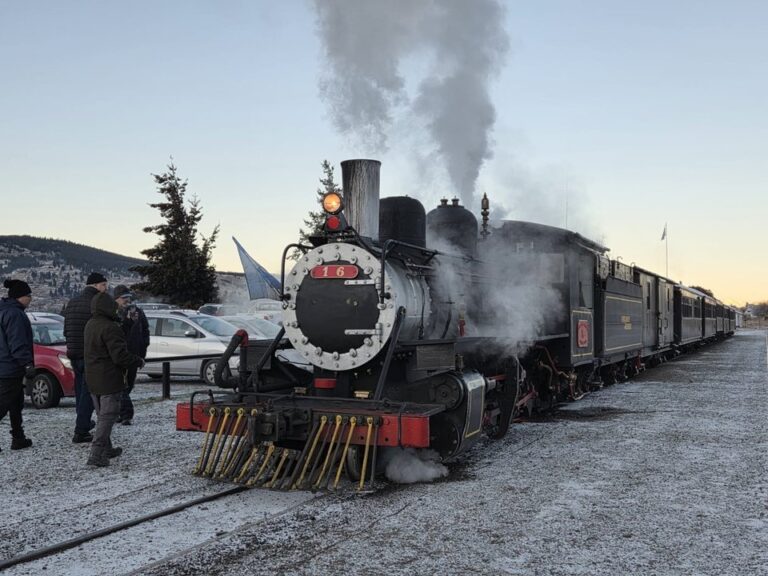 Locomotora a vapor de La Trochita en la cordillera chubutense