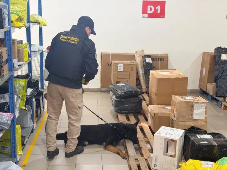 Operativo de la Policía del Chubut en una empresa de paquetería de Comodoro Rivadavia donde se secuestraron droga y municiones