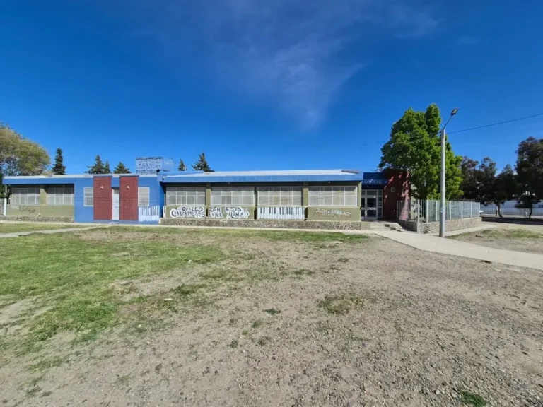 Familias de la Escuela 798 se reunirán con Supervisión para presentar nota por chinches