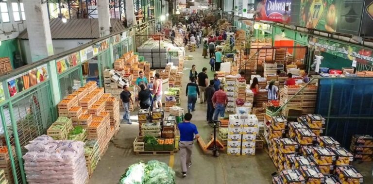 Interior del Mercado Concentrador del Neuquén con puestos de frutas y verduras