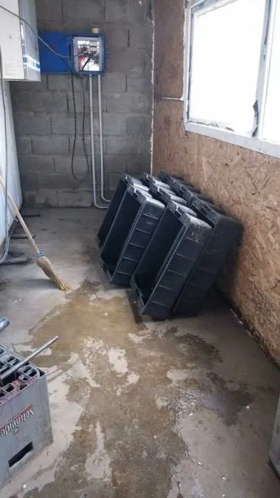 Operativo policial en Esquel secuestra carne de puma y guanaco